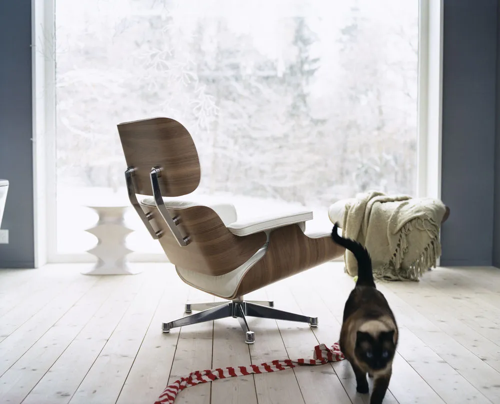 Lounge Chair XL Slide 0